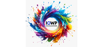 Institute of Wedding Photographers