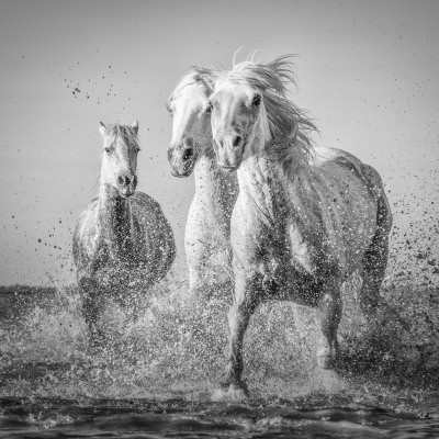 , Monochrome Photography Competition 2018 &#8211; Entries