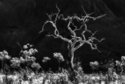 , Monochrome Photography Competition 2018 &#8211; Entries