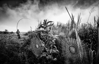 , Monochrome Photography Competition 2018 &#8211; Entries