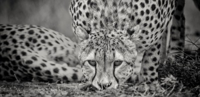 , Monochrome Photography Competition 2018 &#8211; Entries