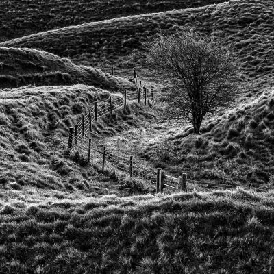 , Monochrome Photography Competition 2018 &#8211; Entries