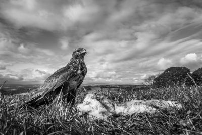 , Monochrome Photography Competition 2018 &#8211; Entries