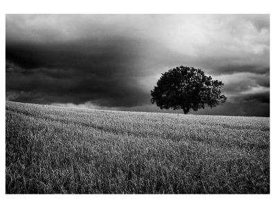 , Monochrome Photography Competition 2018 &#8211; Entries