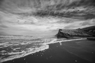 , Monochrome Photography Competition 2018 &#8211; Entries