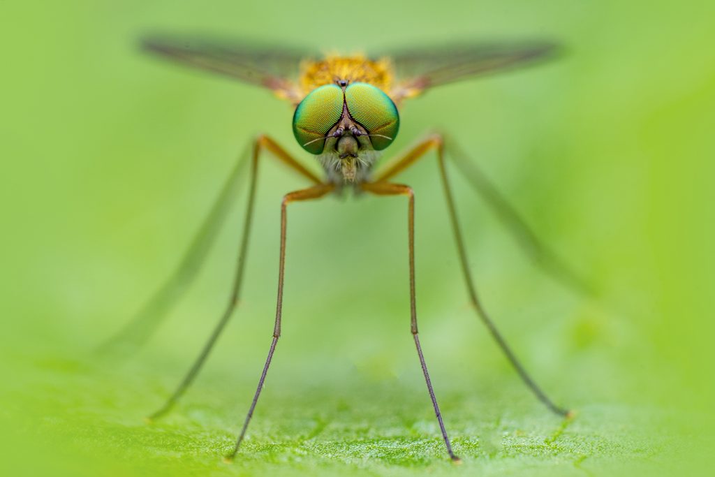 Kutub Uddin