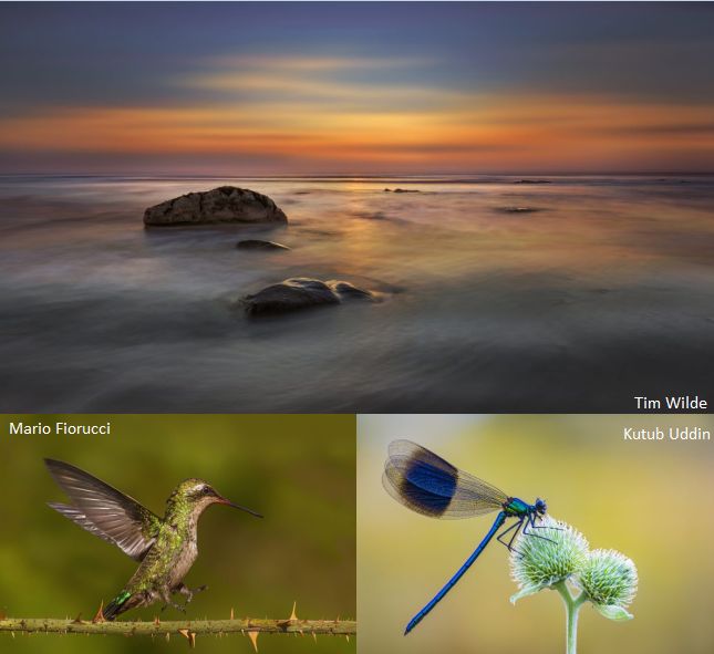 Natural World Photography Competition