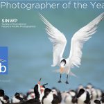 , The Societies’ Monthly Image Competition April 2019 – Results Announced