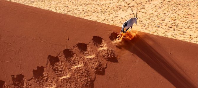Natural World Photography Competition – Winners Announced Natural World Photography Competition – Winners Announced