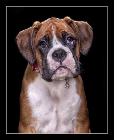 , February 2016 Highly Commended