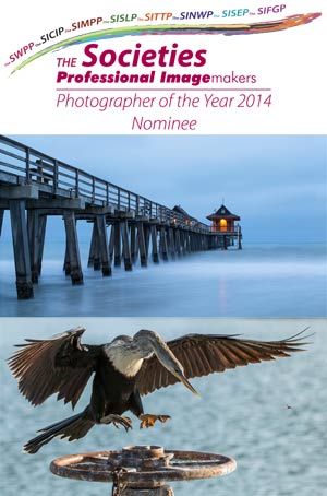 Ann Aveyard - Nominated for The Societies’ Photographer of the Year 2014