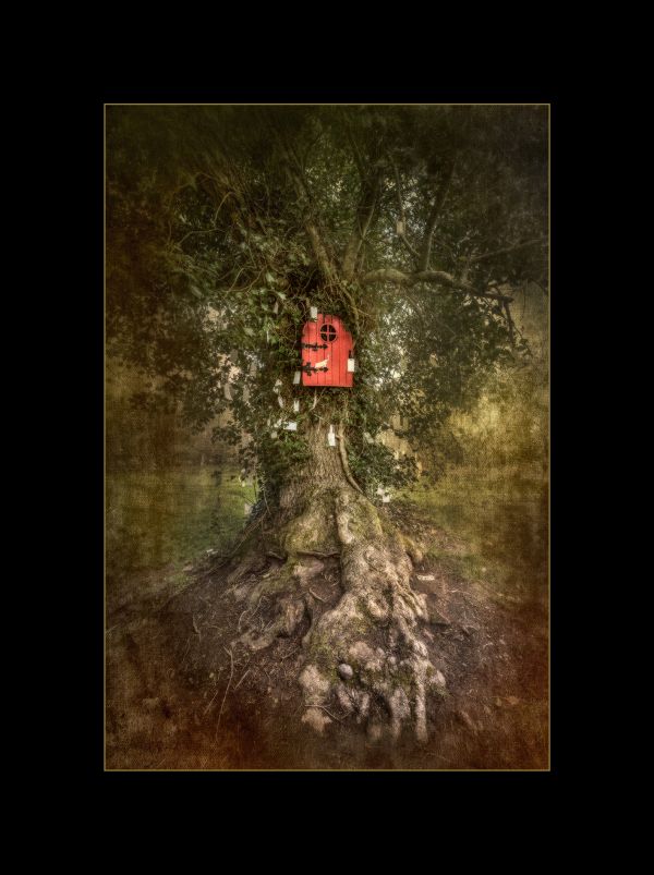 , May 2018 Highly Commended