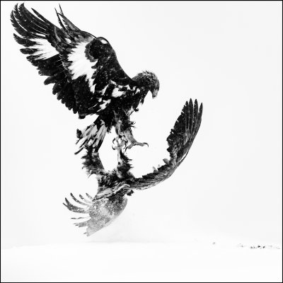 , February 2016 Highly Commended