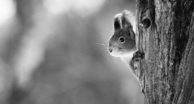 , February 2016 Highly Commended