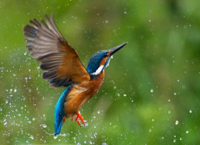 , February 2016 Highly Commended