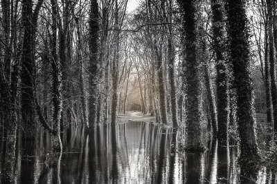 , February 2016 Highly Commended