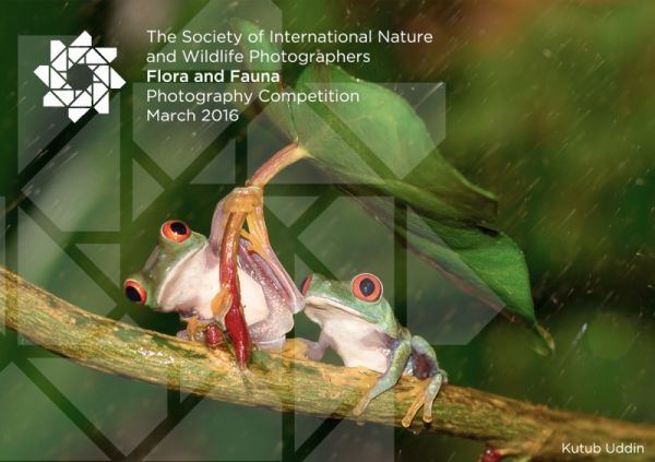 Flora and Fauna Photography Competition