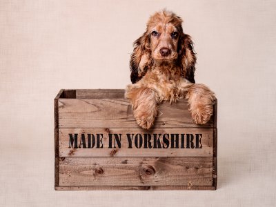 , February 2016 Highly Commended