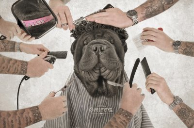 , February 2016 Highly Commended