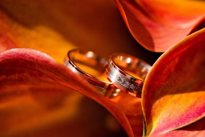 , February 2016 Highly Commended