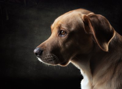 , February 2016 Highly Commended