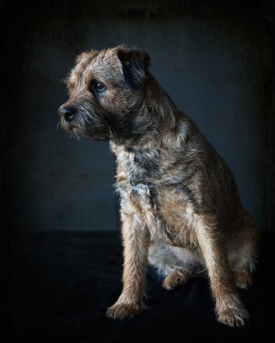 , March 2015 Highly Commended