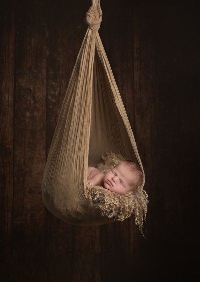 , February 2016 Highly Commended