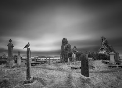 , February 2016 Highly Commended