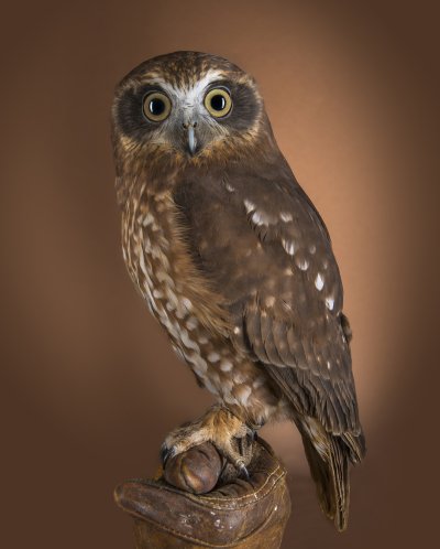 , February 2016 Highly Commended