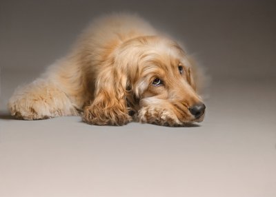 , February 2016 Highly Commended