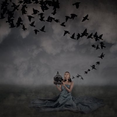 , February 2015 Highly Commended