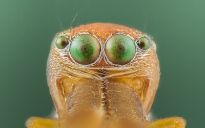 , February 2016 Highly Commended