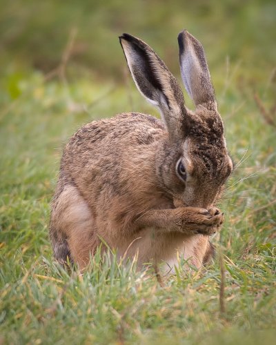 , February 2016 Highly Commended