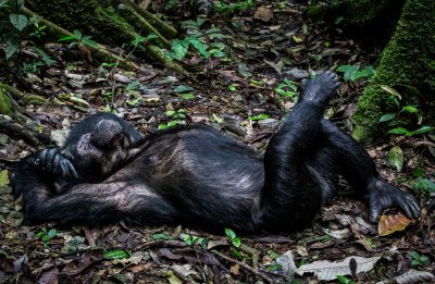 , February 2016 Highly Commended