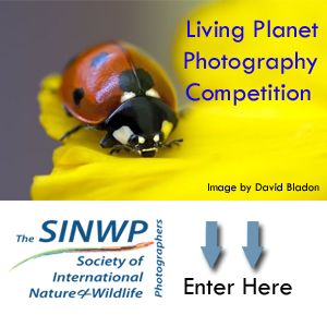 May Photographic Competitions – Open to both members and non-members alike