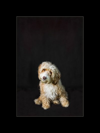 , February 2016 Highly Commended