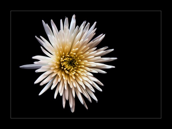 , June 2016 Highly Commended