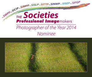 , Mel Taylor Nominated for The Societies’ Photographer of the Year 2014