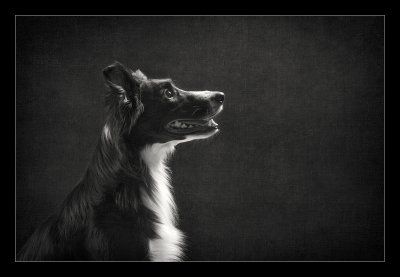 , February 2016 Highly Commended