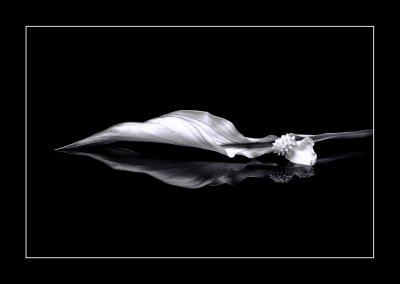 , February 2016 Highly Commended