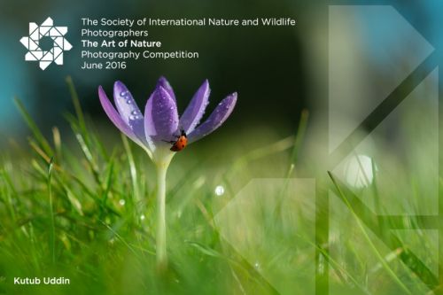 , June 2016 Photographic Competitions – Open to both members and non-members alike