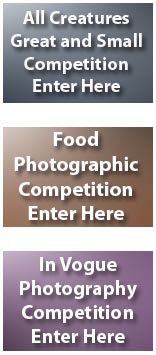 June Photographic Competitions – Open to both members and non-members alike