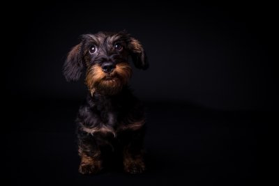 , February 2016 Highly Commended