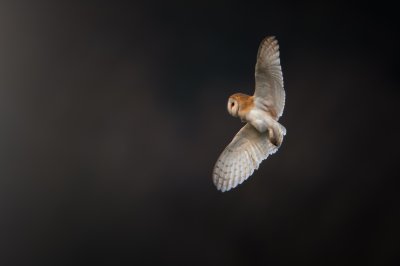 , February 2016 Highly Commended