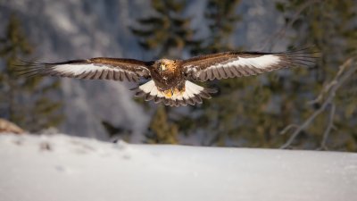 , February 2016 Highly Commended