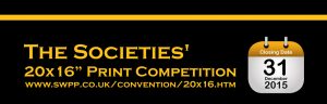 The Societies’ 2016 20x16" Print Competition