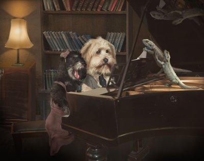 , February 2016 Highly Commended