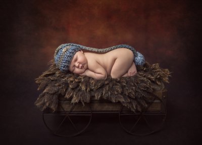 , February 2016 Highly Commended