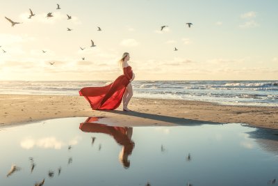 , February 2016 Highly Commended