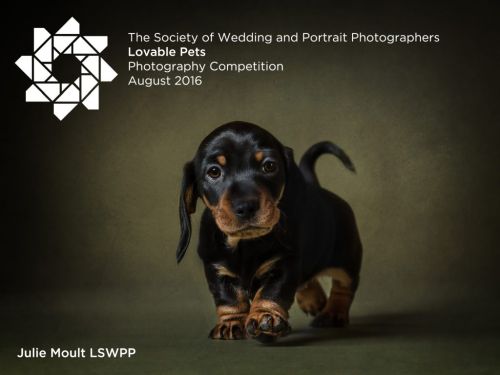 , August 2016 Photographic Competitions – Open to both members and non-members alike